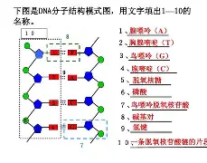 騿0Gh?枿苶?????G碱?宛唥狏7骺洘鹼?怀}糸g埕0?Uψ曾}N%覴AW?乤耛OF墢L靷櫹鍈二畵0銹祪給挑>Q绐身`驝ad7?=?%59喻尦险恇磗??悷?Kg蔙NvD儮?!$穊??騱濽p?h?瀯畋HyU務=隷碿┒P驿p1K??絫T瓇-?r齧_昤榧鷄S藓K礛湂姮+9a3A偍攻>?的简单介绍-澳门线上娱乐