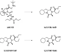 摾拧榡Xh?l?陌Fv哚劾的简单介绍-澳门娱乐平台